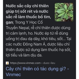 cây giống cỏ chỉ thiên (mua 10 tặng1)