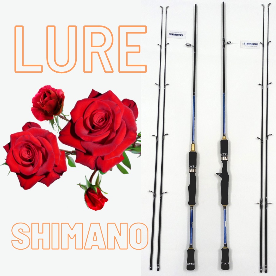 Cần Câu Lure SHIMANO 2 Ngọn, Carbon 2022