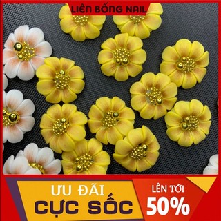 hoa bột nail- hướng dương