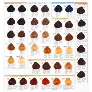 Kem nhuộm tóc Bes +Oxy ( Có bảng màu)