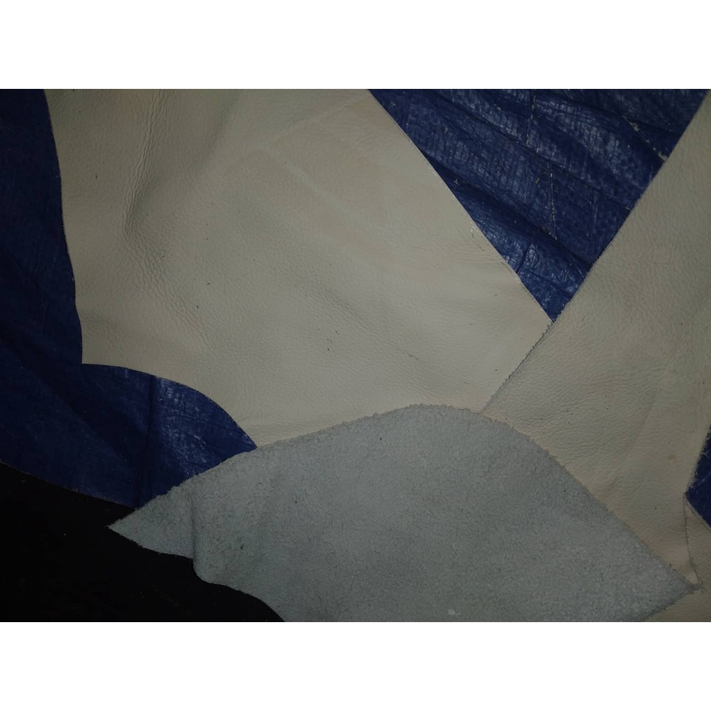 Da salon ý da bỏ thật