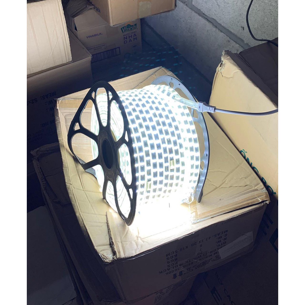 Đèn LED dây 2 hàng 2835 siêu sáng chống nước hắt trần, quấn cây. trang trí