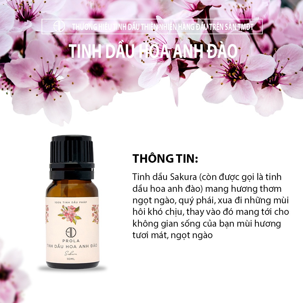 Tinh dầu thiên nhiên Prola Hương Hoa Anh Đào Sakura tươi mát, ngọt ngào