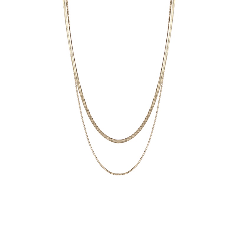 Vòng cổ Hai Lớp Kiểu Xương Rắn Phong Cách Âu Mỹ Cá Tính Đơn Giản Chất Lượng Cao Mới