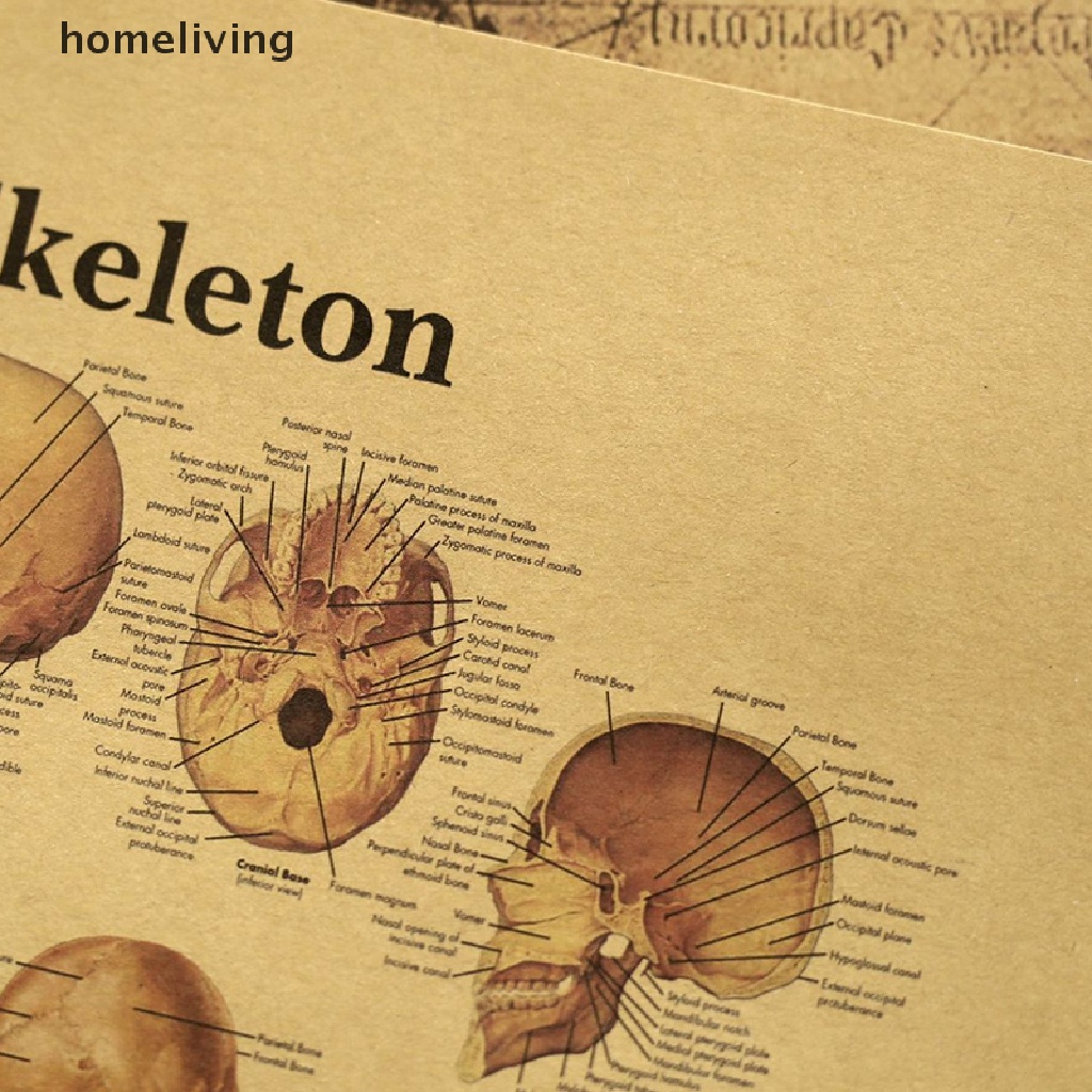 Áp Phích Trang Trí Nội Thất Hình Cột Cột Xoay Người Giải Phẫu Đầu Gối Nghệ Thuật