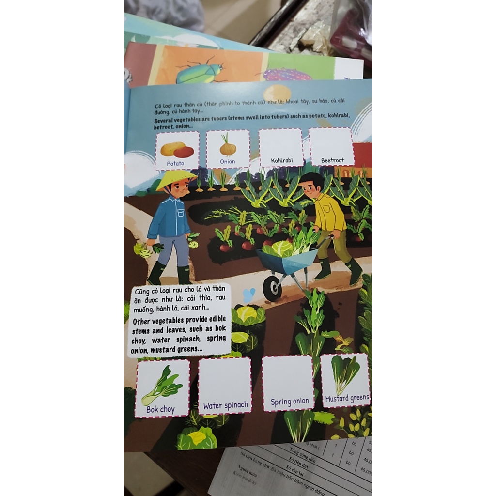 Sách - Hóa Ra Côn Trùng Không Đáng Ghét, Mẹ Nhỉ?