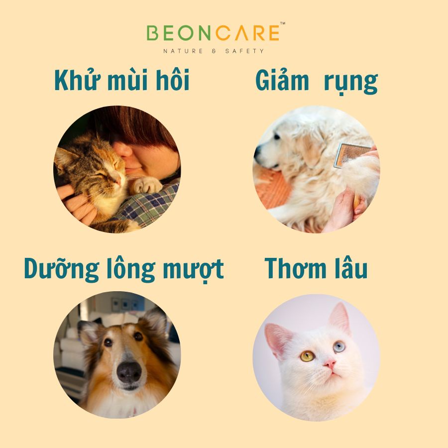 Combo Pet Thơm Sạch Cả Tuần dành cho Sen tinh tế