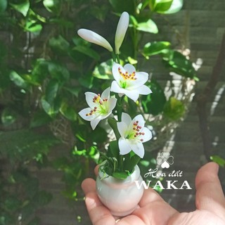Hoa Đất Sét Mini- Chậu Ly Mini 12cm
