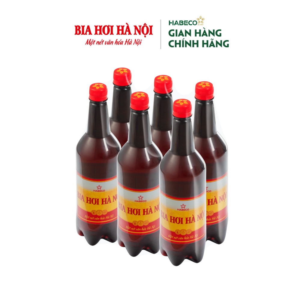 COMBO 2 Lốc 6 chai Bia Hơi Hà Nội - HABECO (1 lít/ chai)