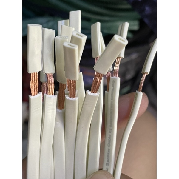 Dây loa Monster bãi Mỹ