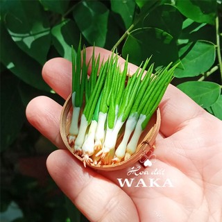 Mô hình hành mini - rau củ quả mini 1/12
