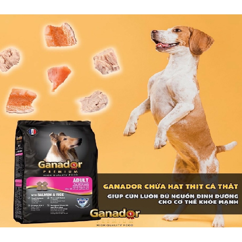 Thức Ăn Hạt Cho Chó Hạt Ganador 400g Nhiều Vị - Hạt cho chó lớn và chó con