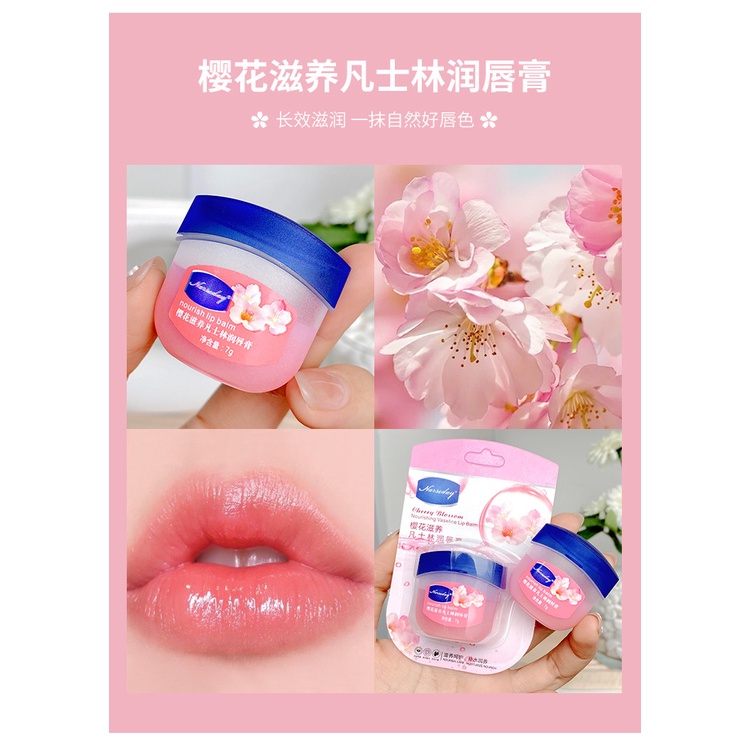 Hộp 4 Hũ VASELINE 7g Dưỡng Môi Đủ Vị Trái Cây