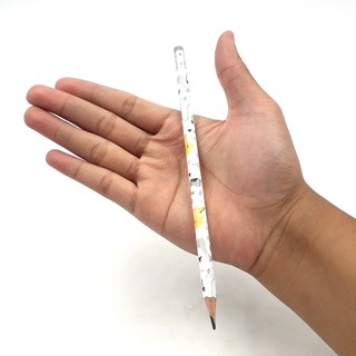 Bút chì gỗ ClassMate CL-PC312 2B