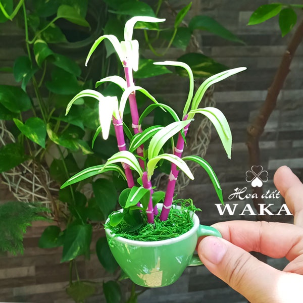 Hoa Đất Sét Mini - Cây mía 15cm