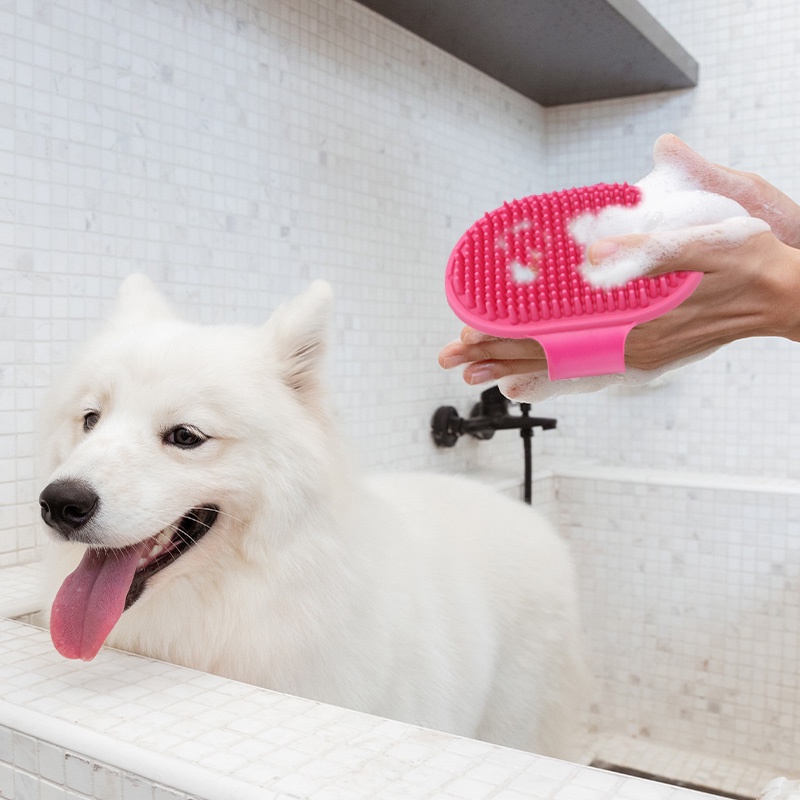 HamshMoc Lược Chải Lông Bằng Cao Su Mềm Mại Mát Xa Có Thể Điều Chỉnh Cho Thú Cưng