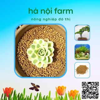 Đất núi lửa AKADAMA Nhật bản - 1kg