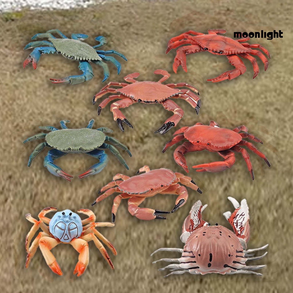 Đồ Chơi Mô Hình Con Cua Tạo Hình Phát Triển Trí Thông Minh Cho Trẻ Em