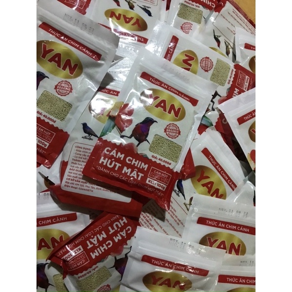Cám chim hút mật Lê Thịnh, Yan, Gia Kiệm Vip, dưỡng