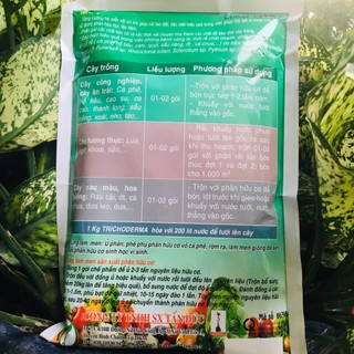 Chế phẩm phân huỷ rơm rạ, ủ phân vi sinh nấm đối kháng Trichoderma