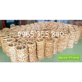 ĐẾ LỤC BÌNH CHƯNG DỪA TẾT TỰ HỦY (giá 1 cái)
