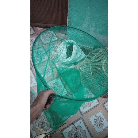 Vợt châu chấu cào cào