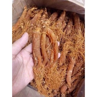 100gr Nhân sâm bồi bổ cơ thể (1 Lạng 4-5 củ)