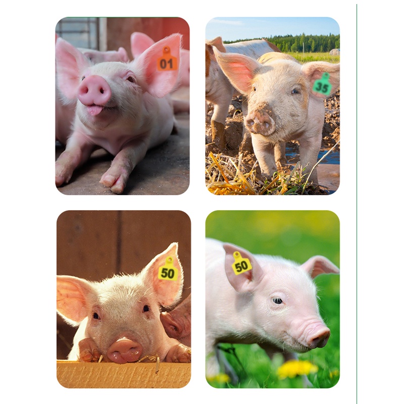 20 Chiếc Thẻ Đeo Tai,Thẻ Tai Heo Có Số
