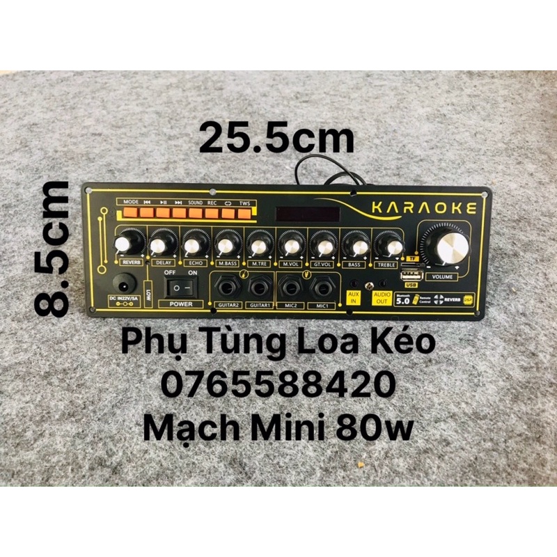 Mạch Loa Kéo V8HT Echo Reverb 80w Mono