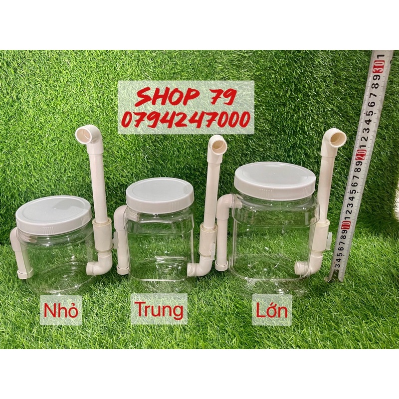 Lọc airlift mini cho hồ cá cảnh