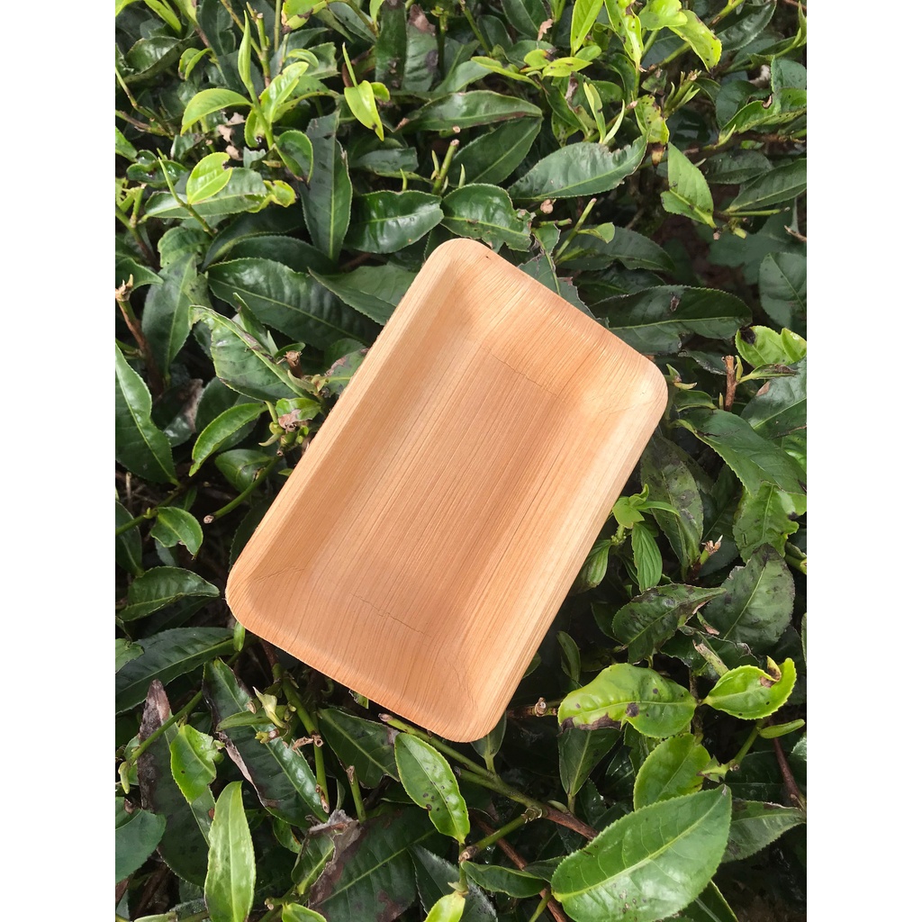 Khay, dĩa chữ nhật CN15/Set 10 cái/tea break/chén đĩa mo cau dùng 1 lần tiện lợi, thân thiện môi trường/ mo cau xứ Tiên