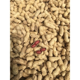 lạc đỏ/ đậu phộng