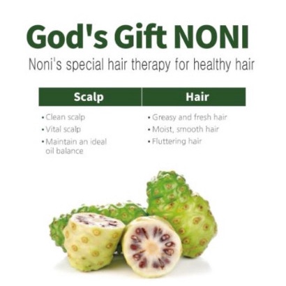 Dầu Gội, Dầu Xả Phục Hồi Tóc Từ Trái Nhàu AnJo Noni Therapy 750ml