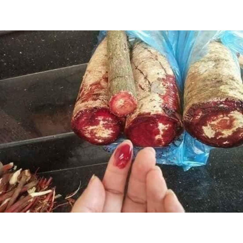 1Kg Cây cỏ máu nguyên chất 100% thơm ngon ,sạch ,loại 1