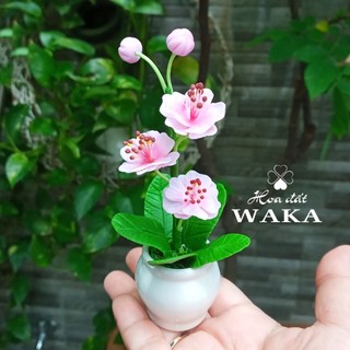 Hoa Đất Sét Mini-Cây Hoa Lài 12cm