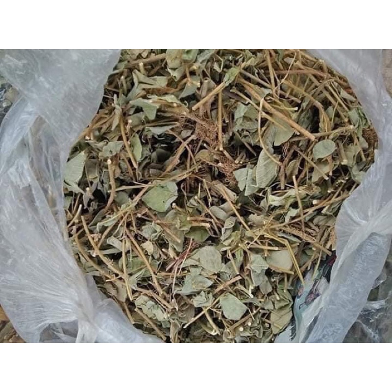 1Kg Kim tiên thảo khô,cực tốt cho người sỏi thận