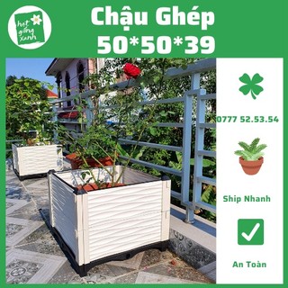 CHẬU GHÉP THÔNG MINH [50x50x39]Cm Phù hợp mọi cây trồng và diện tích.
