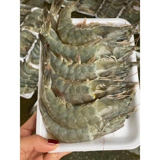 Tôm lột size to