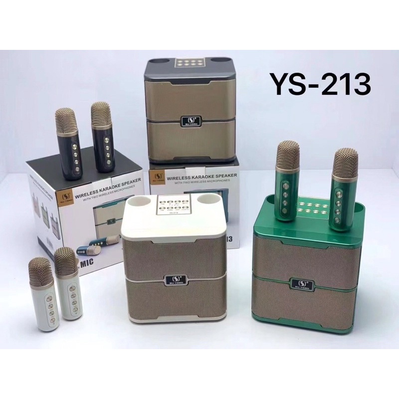 Loa Karaoke Bluetooth YS 213 kèm 2 micro không dây, Bảo Hành 12 Tháng