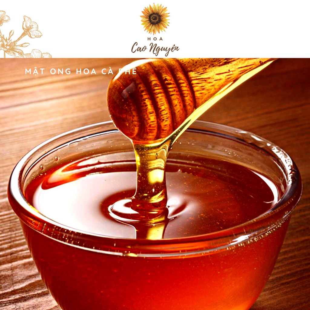 Mật ong nguyên chất hoa cà phê HOA CAO NGUYÊN - Đạt chuẩn xuất khẩu