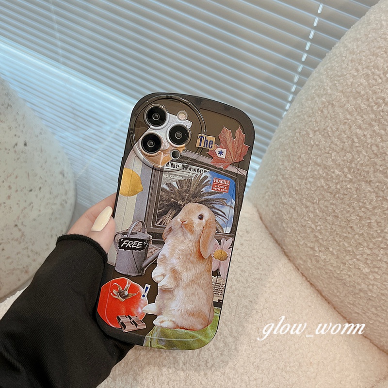 Ốp Điện Thoại Cho iPhone 14 13 12 11 7 8 Plus X Xr Xs Pro Max SE 2020