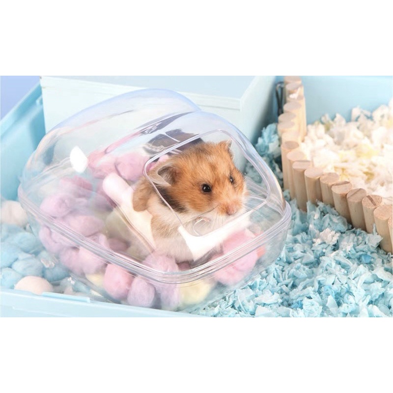 Nhà tắm trong suốt gấu Boer  dành cho hamster