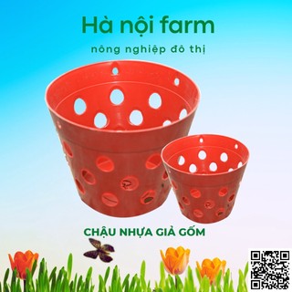 Chậu nhựa giả gốm trồng hoa đủ size