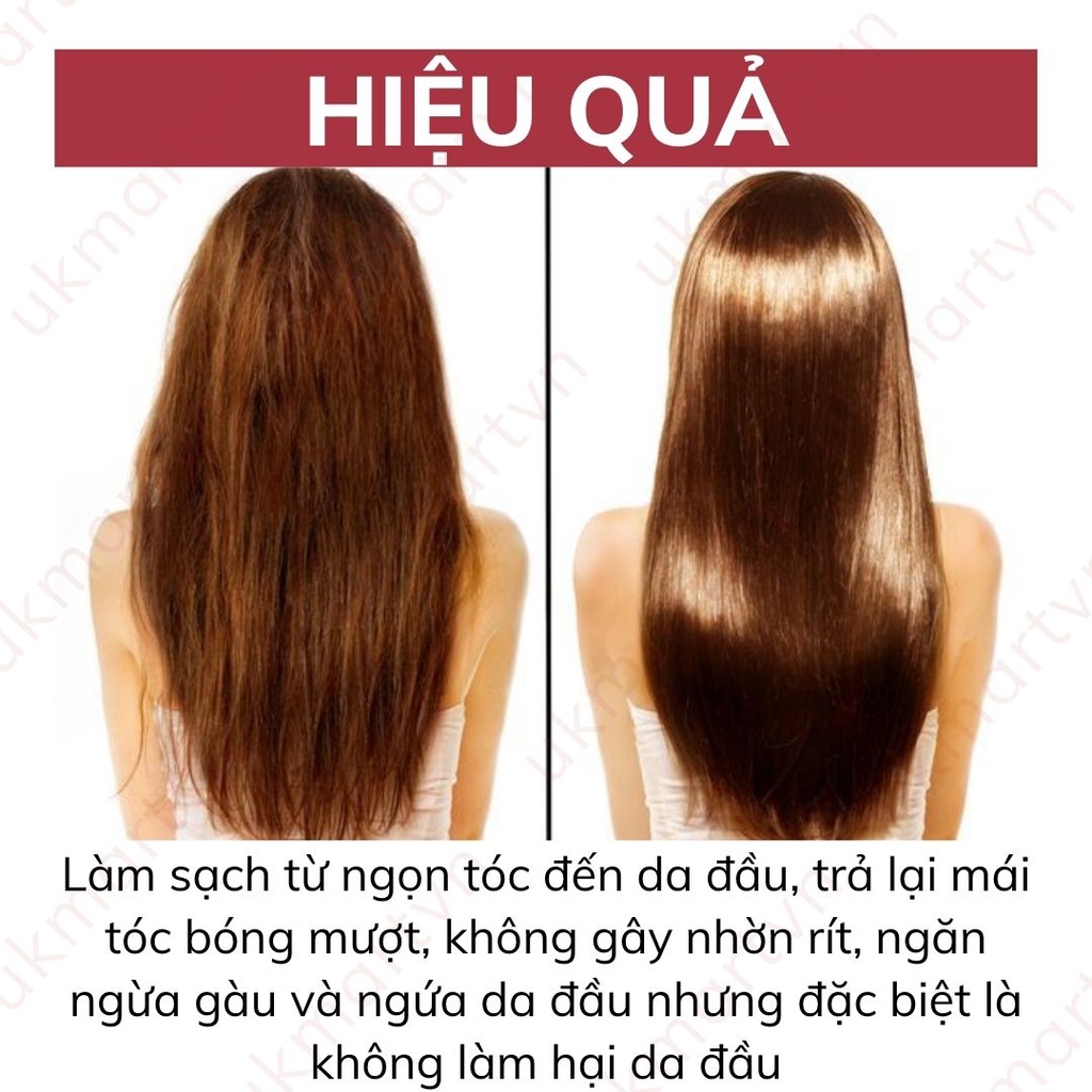 Dầu Gội Xả Chiết Xuất Than Tre Và Bùn Núi Lửa Pelican 500ml Peat Stone Beauty Hair
