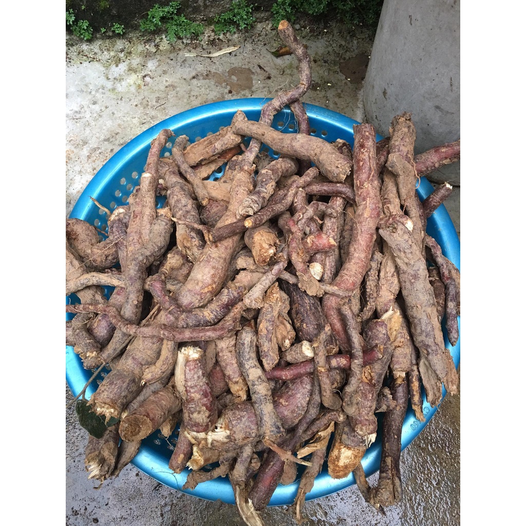 HÀ THỦ Ô TRẮNG KHÔ