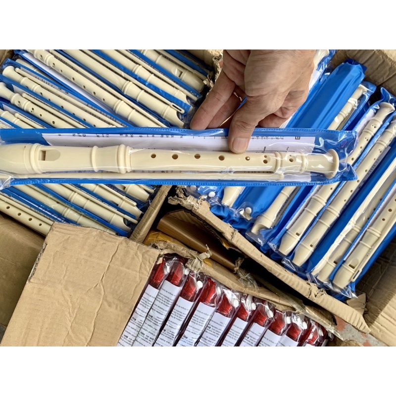 30 SÁO 8 LỖ MÀU TRẮNG TN