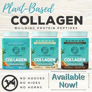 Bột bổ sung collagen building protein peptides Sunwarrior 500g