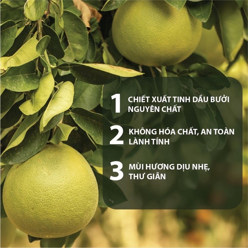 Lotion Bưởi Kích Thích Mọc Tóc &amp; Ngừa Rụng Tóc Từ Tinh Dầu Bưởi Nguyên Chất MILAGANICS 100ml