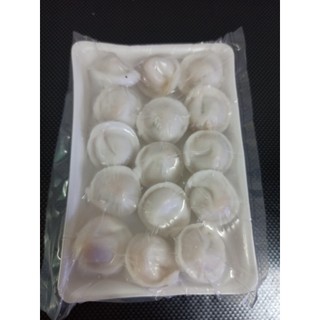 Há cảo sò điệp 15v/khay