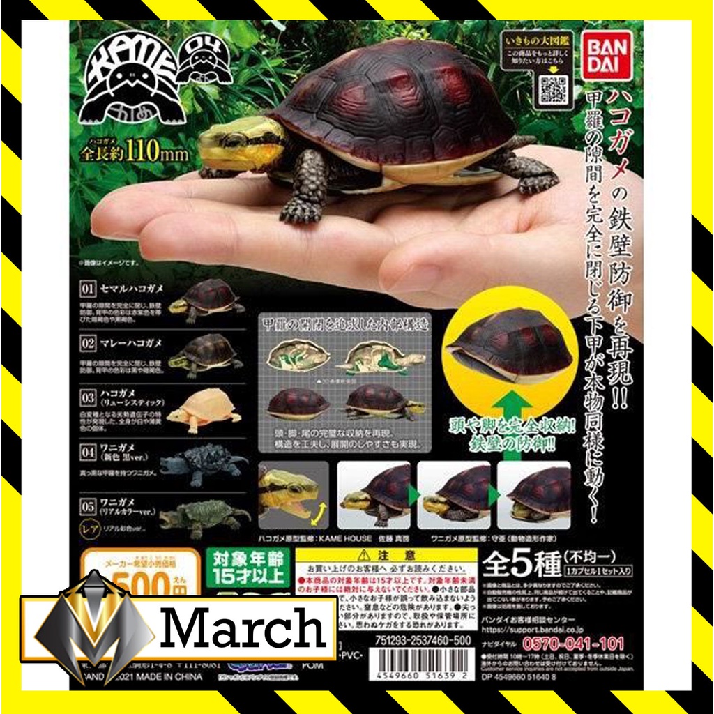 Mô hình trứng Gashapon rùa cạn - rùa biển - BANDAI